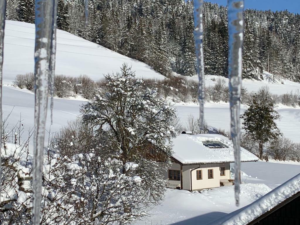 Bobbies Nest Villa Schladming Exterior photo