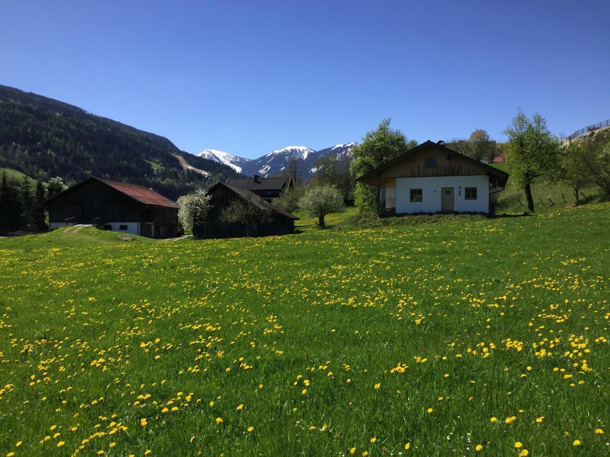 Bobbies Nest Villa Schladming Exterior photo